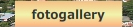 fotogallery